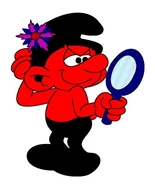 Mirror Universe Vanity