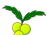 Sourberry