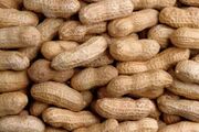 Peanut.jpg