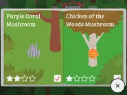 Purple Coral Mushroom, Chicken of the Woods Mushroom