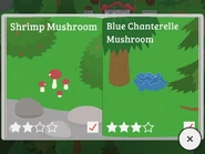 Shrimp Mushroom, Blue Chanterelle Mushroom