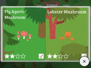 Fly Agaric Mushroom, Lobster Mushroom