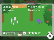 Shaggy Mane Mushroom, Violet Webcap Mushroom