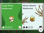 Angel Wing Mushroom, Witch’s Butter Mushroom
