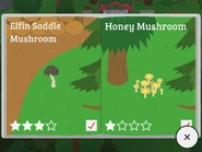 Elfin Saddle Mushroom, Honey Mushroom