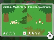 Puffball Mushroom, Porcini Mushroom