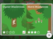 Oyster Mushroom, Morel Mushroom