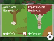 Cauliflower Mushroom, Dryad’s Saddle Mushroom