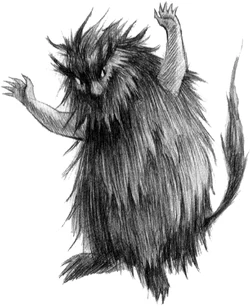 The Carnivorous Carnival Lemony Snicket Wiki Fandom