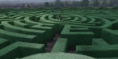 Monty's hedge maze.
