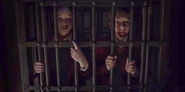 jailmires.