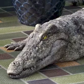 Brokenheartedcrocodilesquare