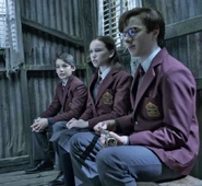 Klausquagmiresorphanshacktaabts.jpg (552 KB) With Dylan Kingwell and Avi Lake.