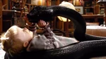 Playing with the Viper.
