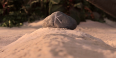 KitsGrave