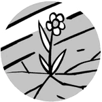 Sub-File B: Small Courtyard.