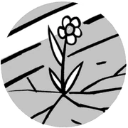 "Small Courtyard" Header.