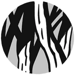 Sub-File B: Missing Pets.