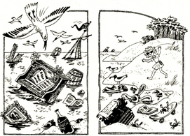 Friday storm scavenges.