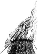 Madame Lulu's fortune telling tent on fire.