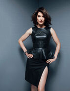 Cobiesmulders3