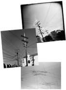 Telephone Poles.