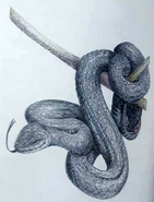 Illustration in the Netflix Adaptation.