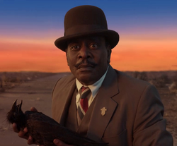 "We need to get this crow to a vet