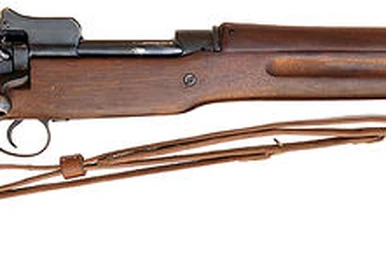 ZH29 | Sniper Elite Wiki | Fandom