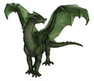 Dragon1