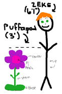 Zeke Weasley's puffapod homework drawing.