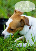 Cruppet4 zps4859d49f.jpg