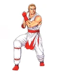 Real Bout Fatal Fury artwork.
