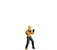 The King of Fighters XI ( ver.)