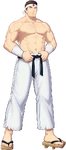 The King of Fighters for Girls artwork.