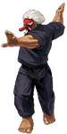 The King of Fighters XIII portrait, labelled as "Mr. Karate"