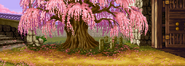 Japan Tree (Day) (Mai's Stage)