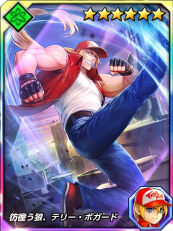 Terry Bogard Snk Wiki Fandom