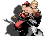 Andy Bogard