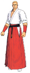 The King of Fighters '96 artwork.