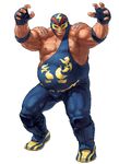 Raiden | SNK Wiki | Fandom