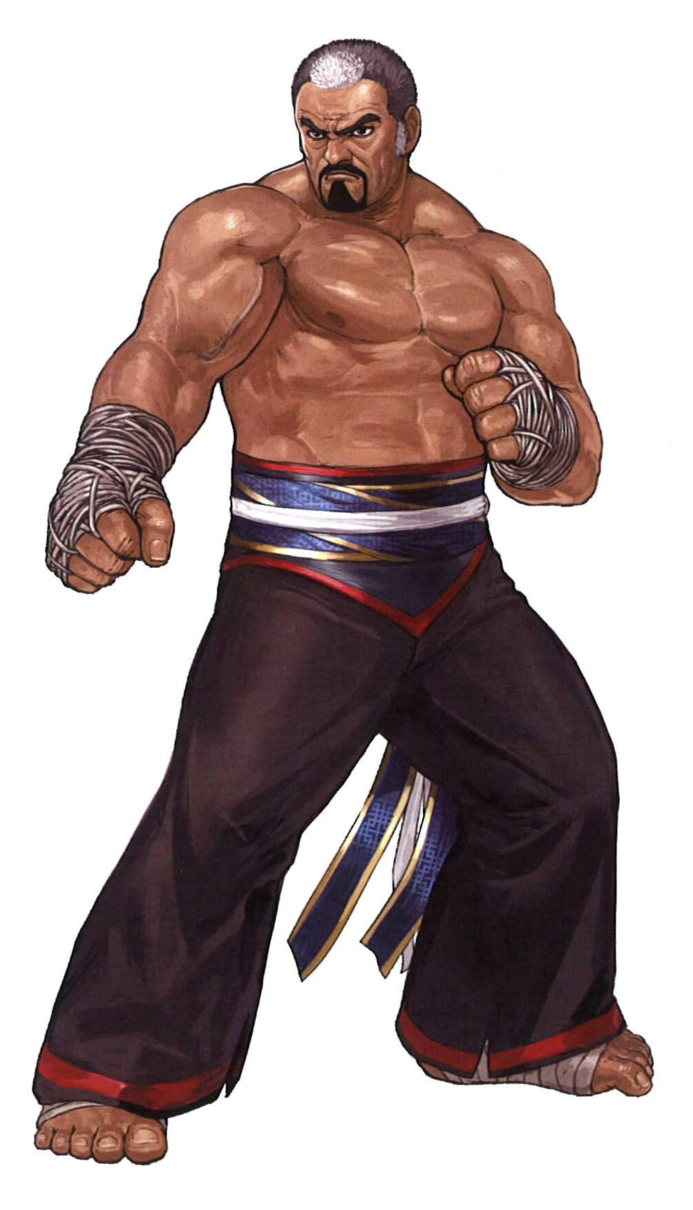 The King of Fighters: A New Beginning, SNK Wiki
