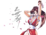 Mai Shiranui artwork for Fatal Fury: Memorial artbook illustration by Mamoru Yokota