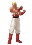 Andy in The King of Fighters XII.