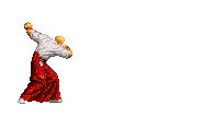 SNK vs. Capcom: SVC Chaos (Double Reppuken)