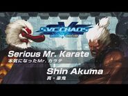 Serious Mr. Karate vs. Shin Akuma
