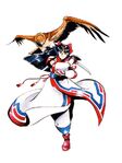 Samurai Shodown IV