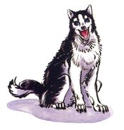 Poppy as illustrated by Shiroi Eiji.