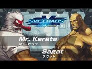 Mr. Karate vs. Sagat