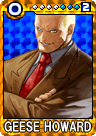 SNK vs. Capcom: Card Fighters DS